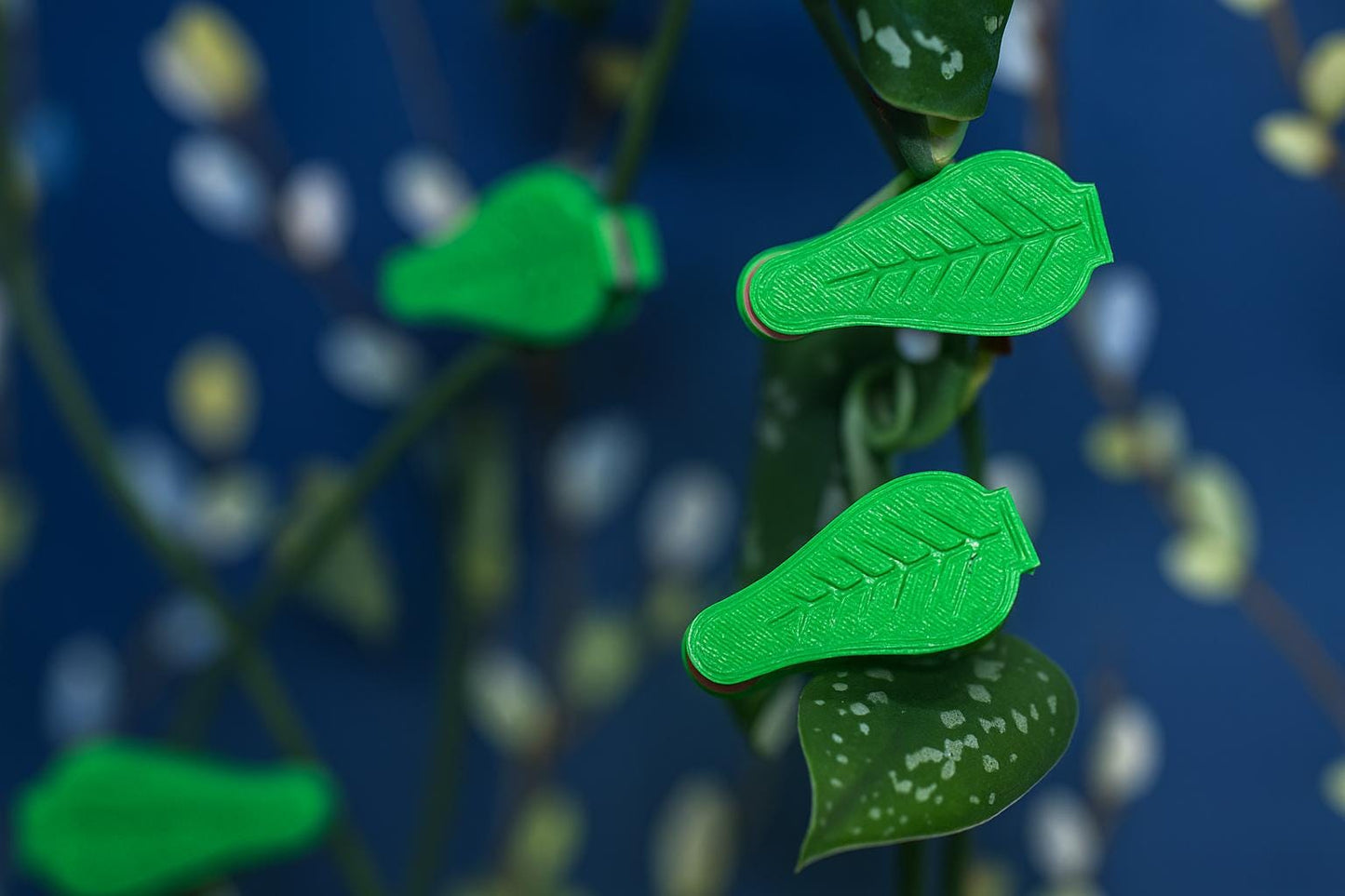 Magnetic Plant Support Clips – Leaf Holders for Gardening, Vines, & Houseplants