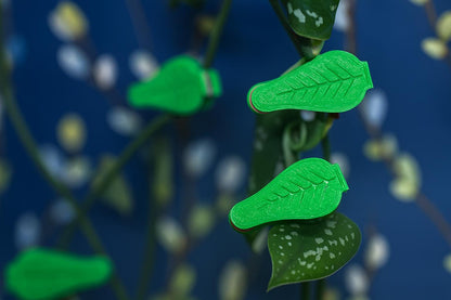 Magnetic Plant Support Clips – Leaf Holders for Gardening, Vines, & Houseplants