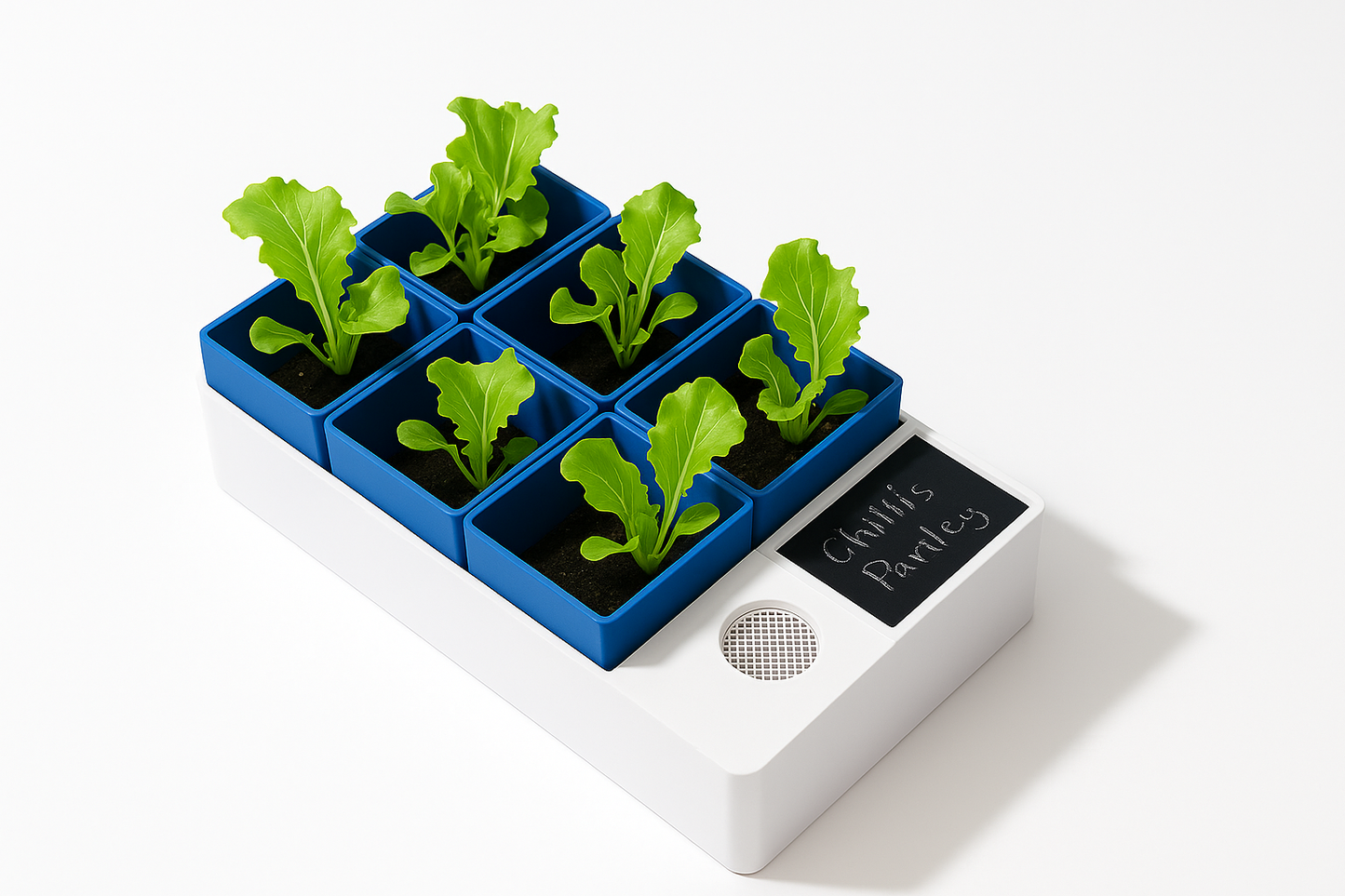 Self-Watering Seed Starter | Automatic Watering Propagation Pot for Herbs, Flowers & Vegetables