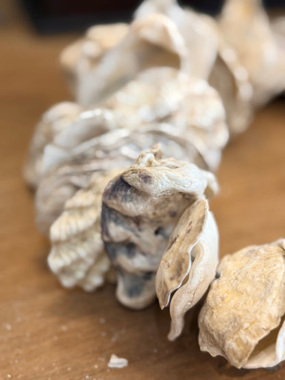 Clam Shells Garland Wall Hanging