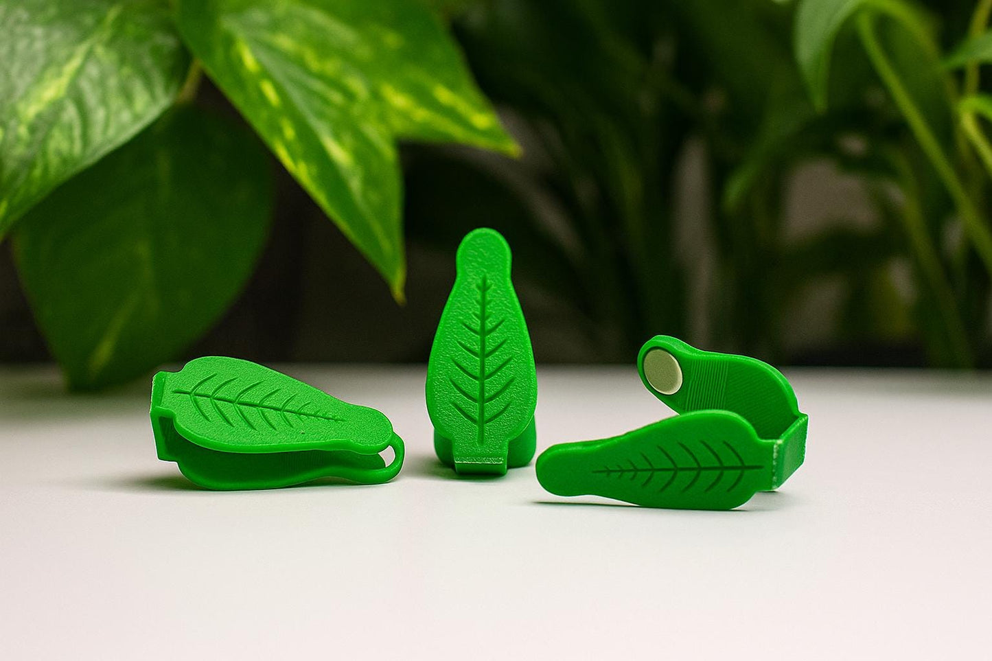 Magnetic Plant Support Clips – Leaf Holders for Gardening, Vines, & Houseplants
