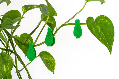 Magnetic Plant Support Clips – Leaf Holders for Gardening, Vines, & Houseplants
