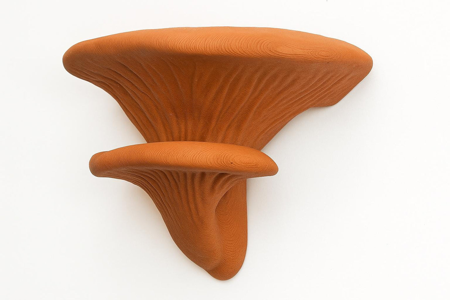 Set of 2 Mushroom Shelves | 3D Printed Wall Shelf | Fungi Inspired Floating Shelf