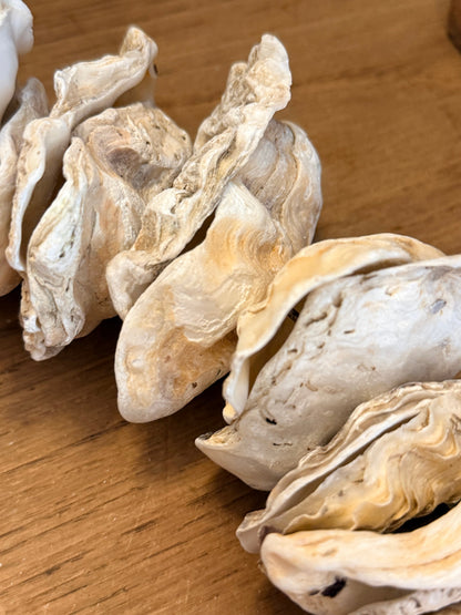 Clam Shells Garland Wall Hanging