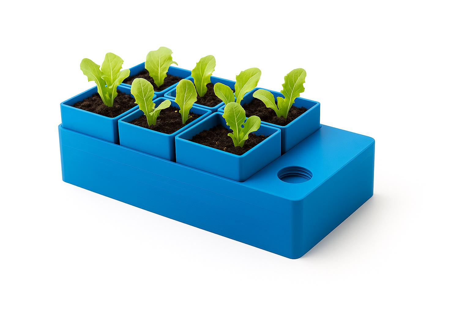 Self-Watering Seed Starter | Automatic Watering Propagation Pot for Herbs, Flowers & Vegetables