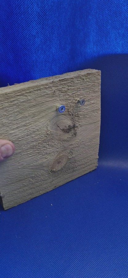 Set of 2 Mushroom Shelves | 3D Printed Wall Shelf | Fungi Inspired Floating Shelf